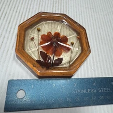 Lucite Acrylic Trivet Hotplate Pressed Flowers Vintage Coaster