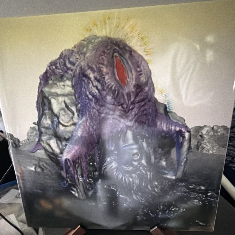 Björk Vulnicura alternate art sleeve
