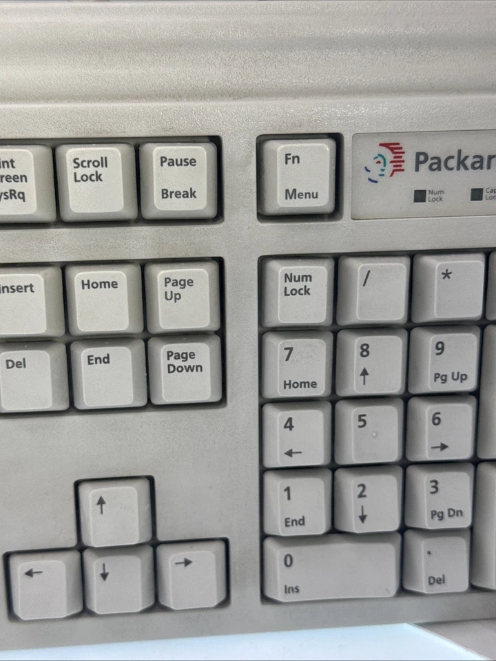 Vintage Packard Bell # 5131C Big Enter Key Keyboard PS/2 Retro WORKS & CLEANED - Image 4 of 4