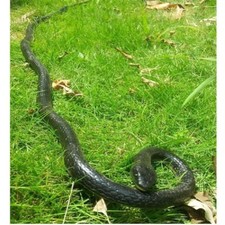 Large Scary Rubber Fake Realistic Real Looking Outdoor Big Snake Prank Kids Toy