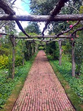 Brick Path in a Rose Garden Arbor Long Island NY Photo Poster Print 18 x 24 in