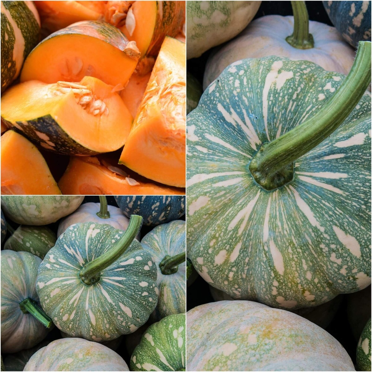 PUMPKIN KENT 7 Seeds JAP heirloom AUSTRALIAN HERITAGE vegetable