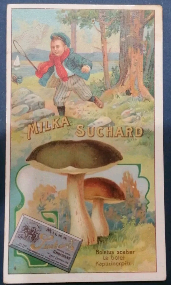 Milka Suchard Chocolat, Boletus Scaber, Serie 229