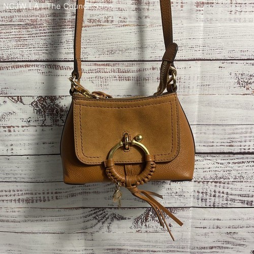 See By Chloe Joan Brown Leather Mini Shoulder Bag Purse