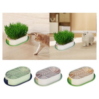 Katzengrasschale mit Starterschale, Kätzchengras Anzuchtset, robust, 7,5 x