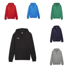 Puma teamGOAL Casuals Hoodie