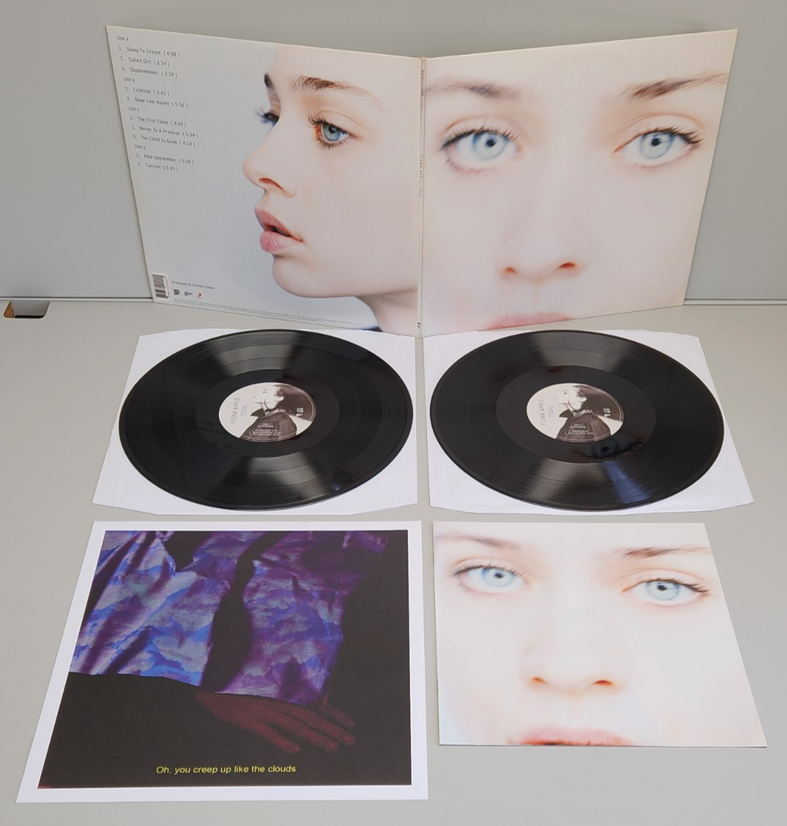 Fiona Apple - Tidal 2X 12