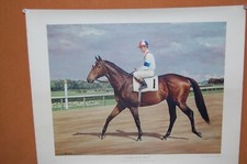 JAMES N. SLICK GALLANT MAN RIDDEN BY WILLIE SHOEMAKER 1957 BELMONT WINNER