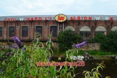 PHOTO  THOMAS WARD'S ALBION WORKS SHEFFIELD THOMAS WILLIAM WARD (1853 Â 3 FEBR
