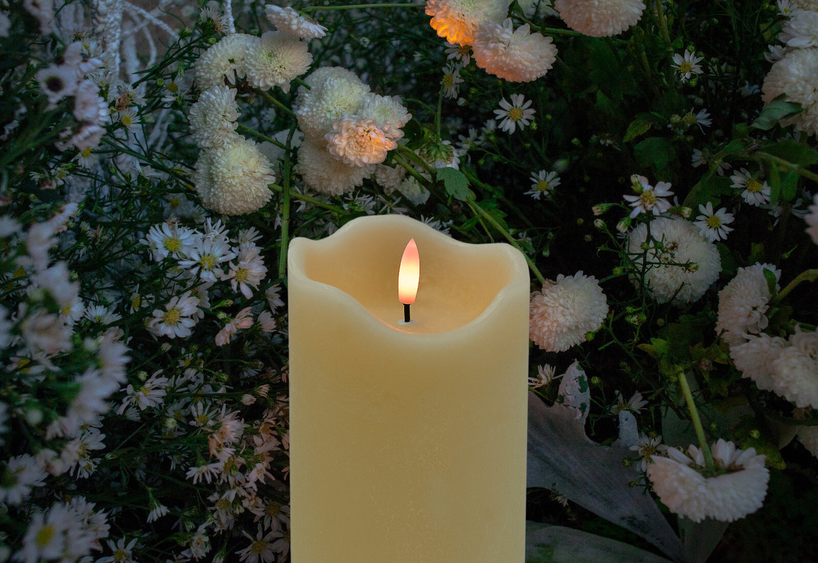 Bild 6 von 7