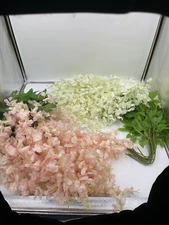 12pk white & 14pk pink Artificial Flowers Decor