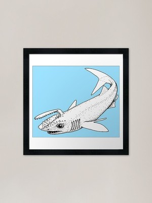 Ancient Shark Framed Art Print Framed Wall Art Poster Canvas Print Picture