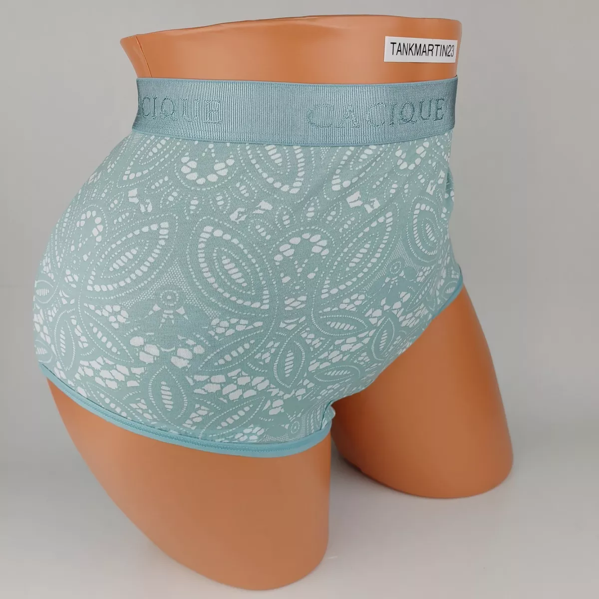 NWT LANE BRYANT CACIQUE FULL BRIEF WIDE BAND PANTIES 18/20 PANTY Sea foam  Green