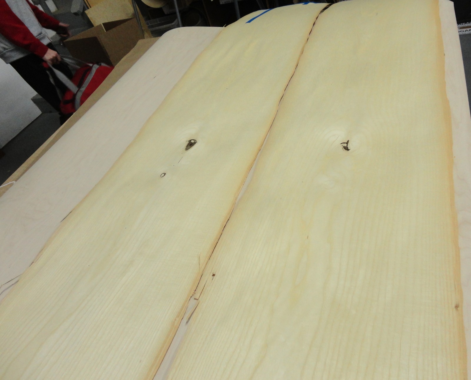 Ash Hackberry wood veneer 16" x 123" raw no backing 1/42" thickness A