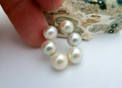 6PC RARE AAA JAPANESE AKOYA NEAR ROUND XL CREAM++++ IRIDESCENT PEARLS - Picture 5 of 7