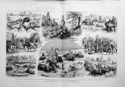 Original alter antiker Druck 1879 Tiger Jagd schießen Bengalen Elefanten 19.