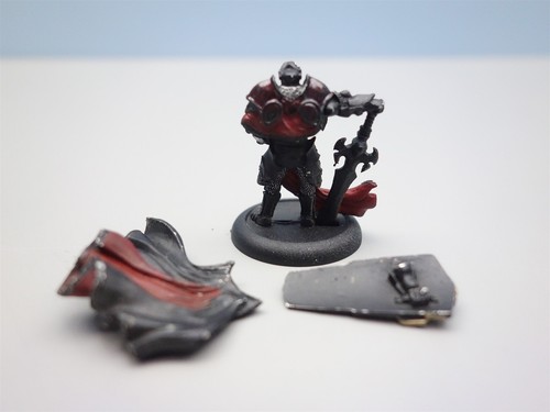 Warmachine: Protectorate of Menoth: Paladin, Order of the Wall (Privateer Press) - Picture 4 of 4