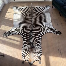 Echtes Zebrafell vom namibschen Bergzebra
