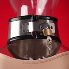 Choker Lockable Neck Collar Metal Restraint Steel Couples Adults Bondage Slave — photo 4