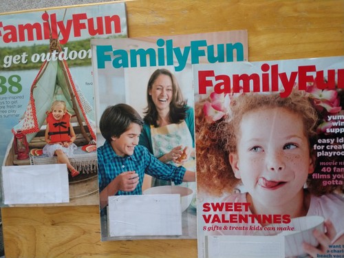 FAMILY FUN MAGAZINE Lot of 3 Feb/Mar/June/July 2013 | eBay