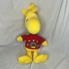 Foto 1 di 12