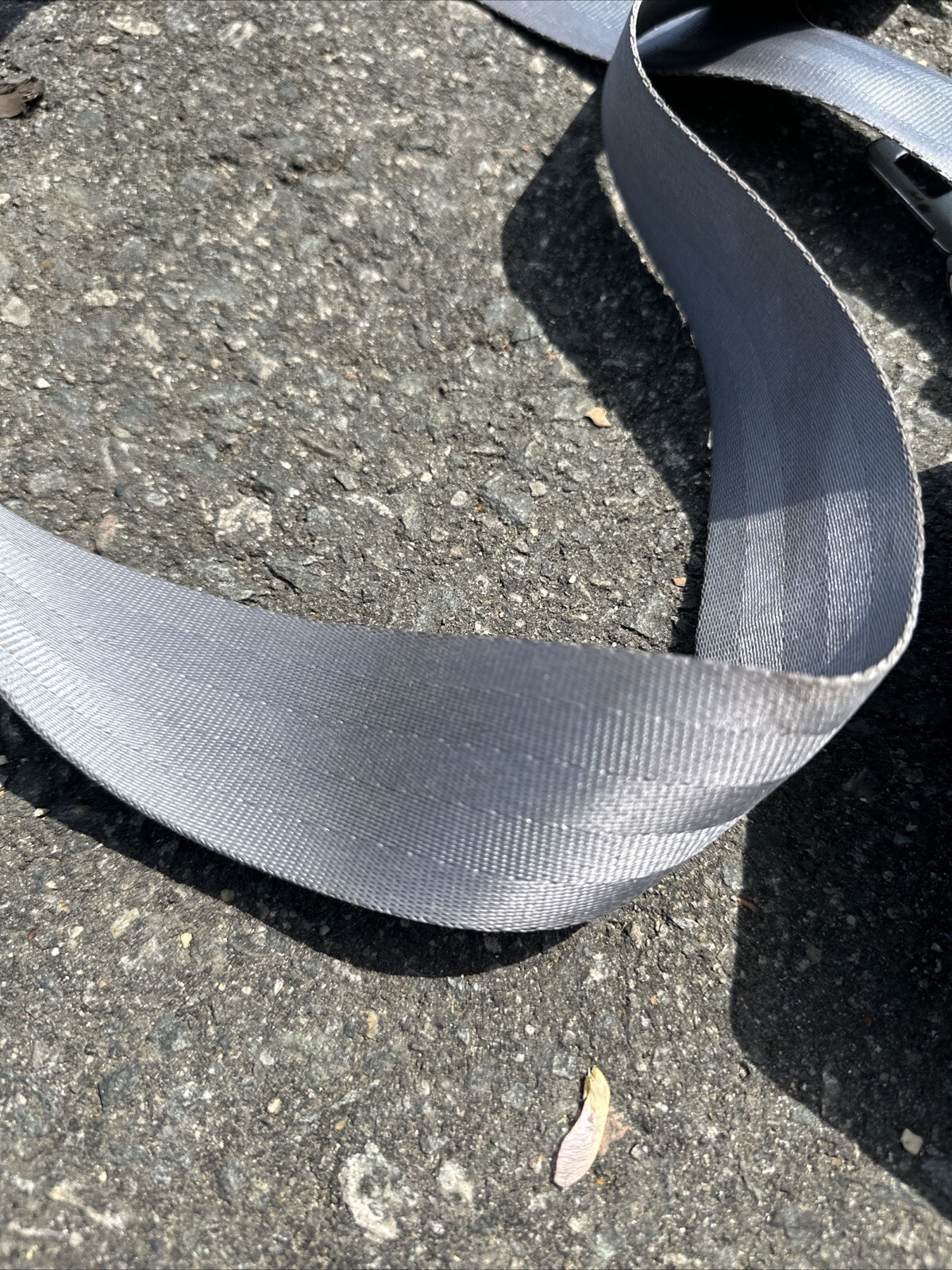 Picture 3 of 18