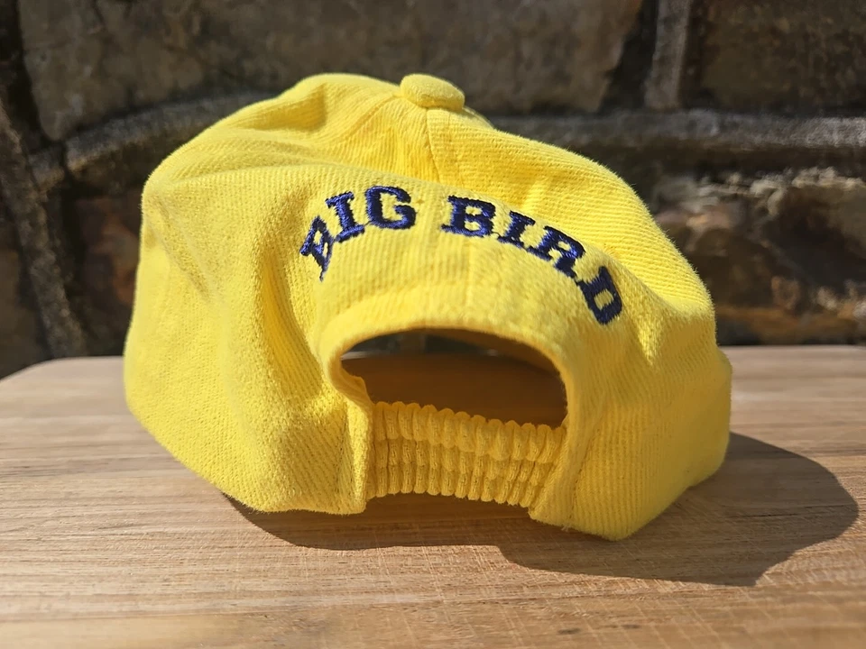 Sombrero Big Bird vintage Foto 2 de 4