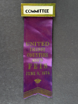 Pin United Irish Counties FEIS 1974 Ireland Troubles Cause Badge Ribbon Vintage
