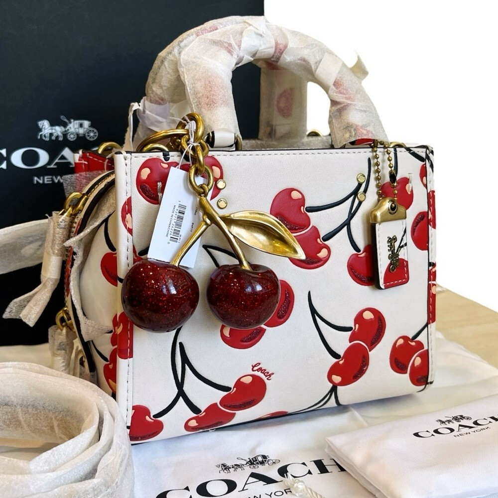 NWT! 2 PC Set Coach Rogue 17 + Coach Cherry Charm