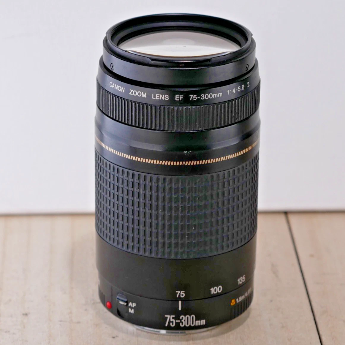 Canon EF 75-300mm Focal Camera Lenses for sale | eBay