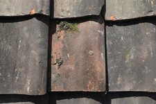 Reclaimed Terracotta Norfolk Pantiles-Machine-Made