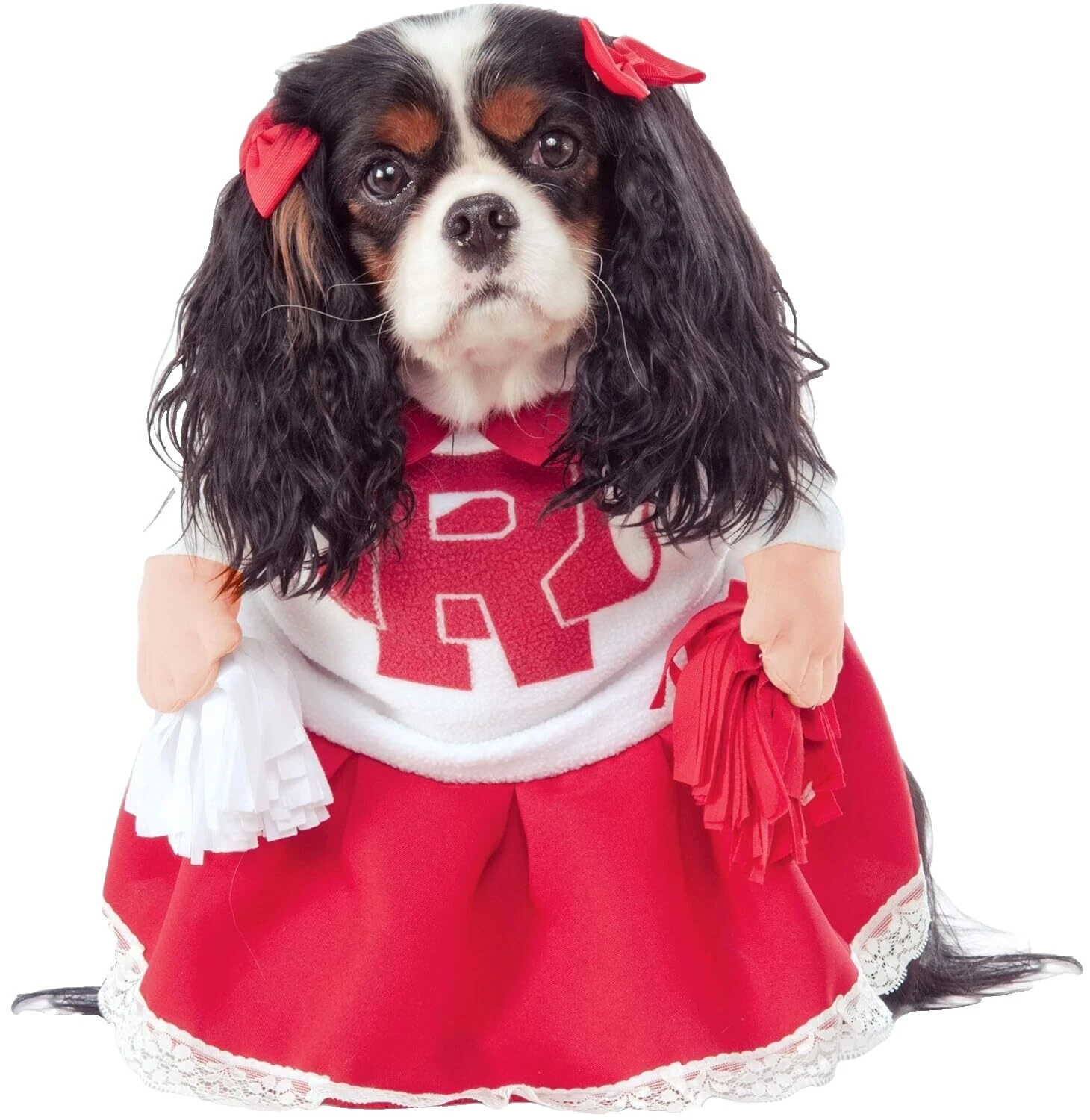 Dog Cheerleader Costumes