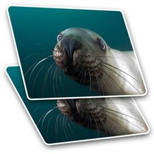 2 x Rectangle Stickers 7.5 cm - Cute Sea Lion Face Underwater Cool Gift #16872