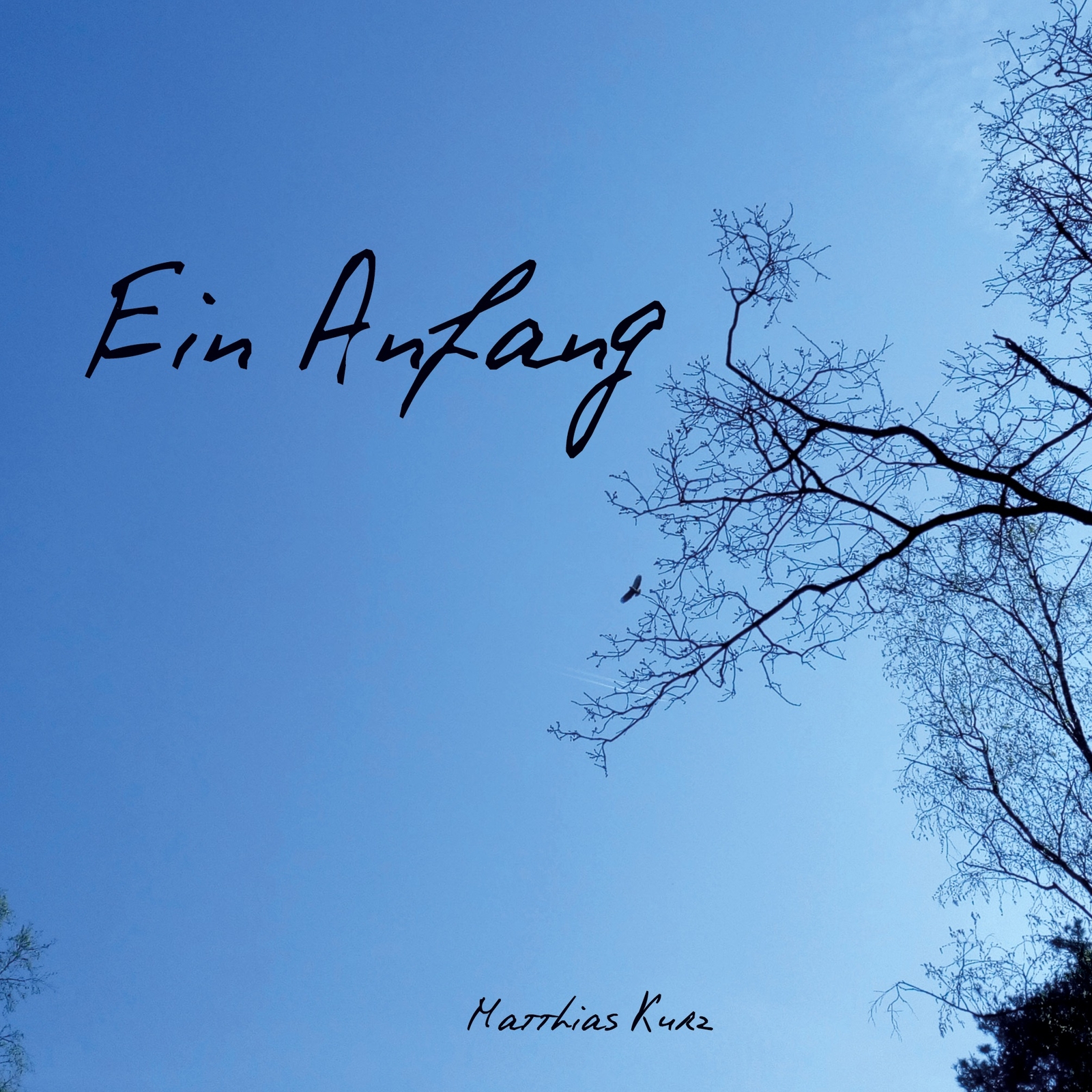 Thumbnail - Ein Anfang (buch)