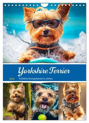 CALVENDO Yorkshire Terrier. Fröhliche Energiebündel in Aktion (Wandkalender 2026 DIN A4 h