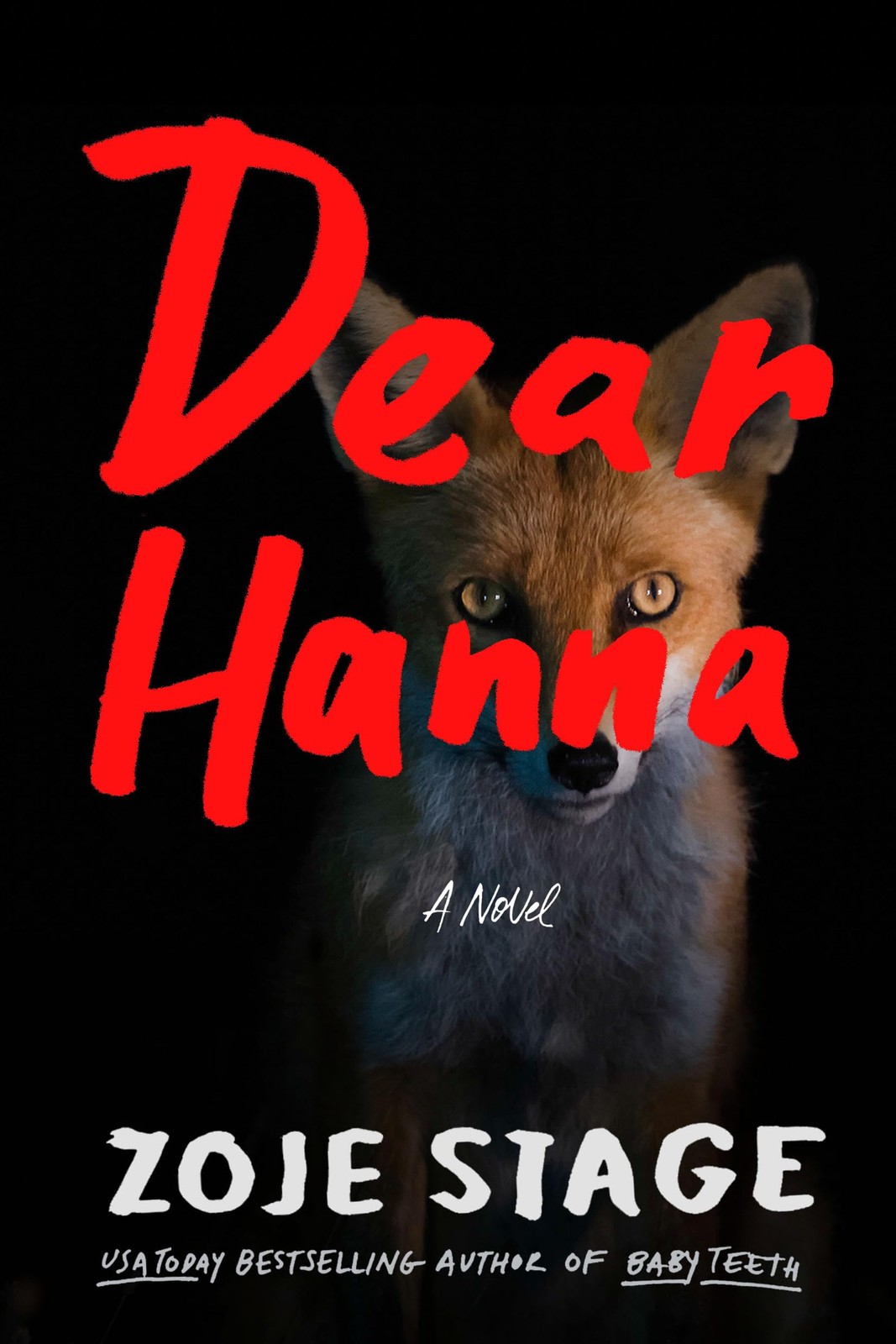 Dear Hanna: A Novel - Image 5