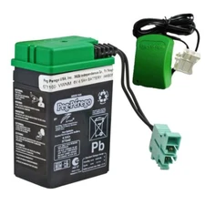 Peg Perego 6V Green Battery with Charger [GRNIAKB0509-KIT]