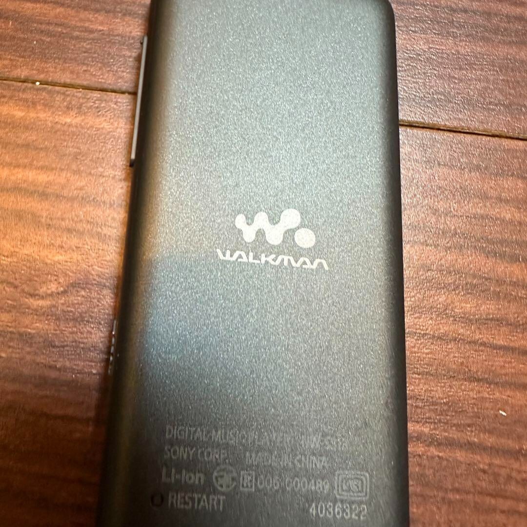 SONY Walkman NW-S313K Digital Player 4GB 2357 From Japan | eBay