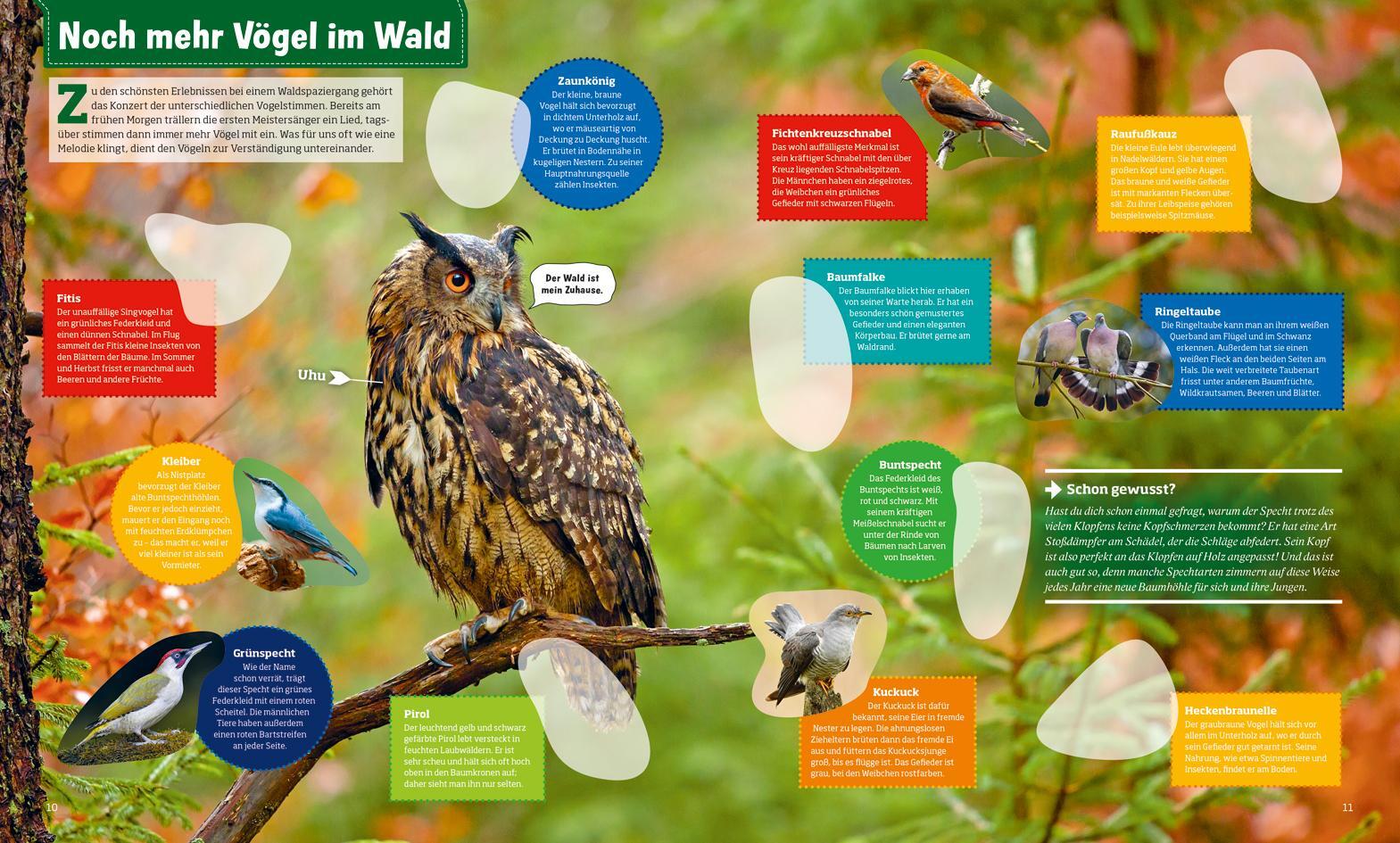 Thumbnail - Was Ist Was Stickerheft Heimische Vögel Carolin Langbein