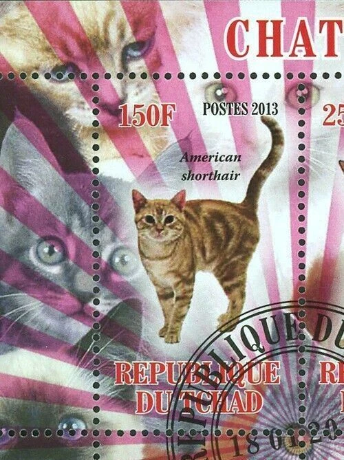 Cat Stamp American Shorthair Wire hair Maine Coon Souvenir Sheet of 4 Stamps - Image 2 of 4