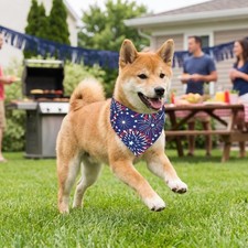 USA Flag Dog Bandana,American Flags Dog Bandana Pet Scarfs,4th of July American
