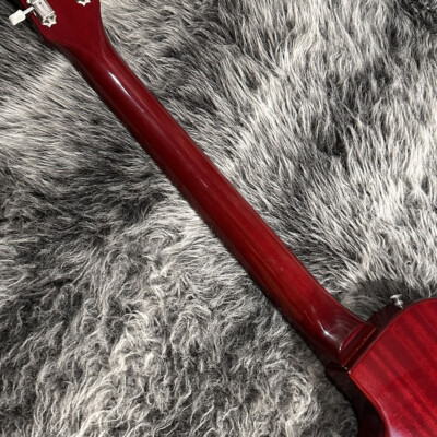 Epiphone Japan Limited Edition LQ Les Paul Junior Single