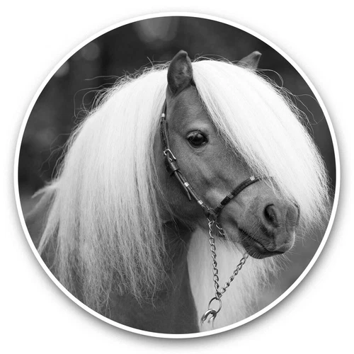 2 x Vinyl Stickers 20cm (bw) - Mini Shetland Pony Horse  #36590