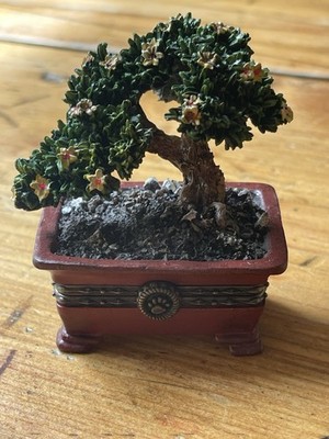 Boyds Treasure Box Mr. Chen s Bonsai Tree w/Zen McNibble NO BOX