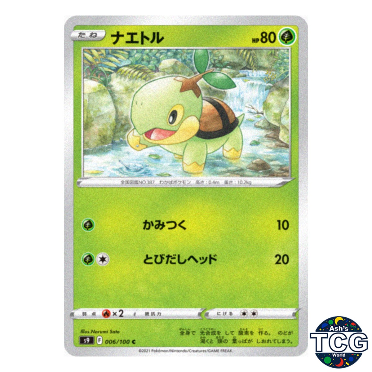 Turtwig C 006/100 s9 Star Birth Pokemon Card Japanese