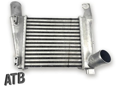 SRLine Ladeluftkühler Voll-Alu für Nissan Pick Up NP300 D22  2,5 dCi 14461VM00A