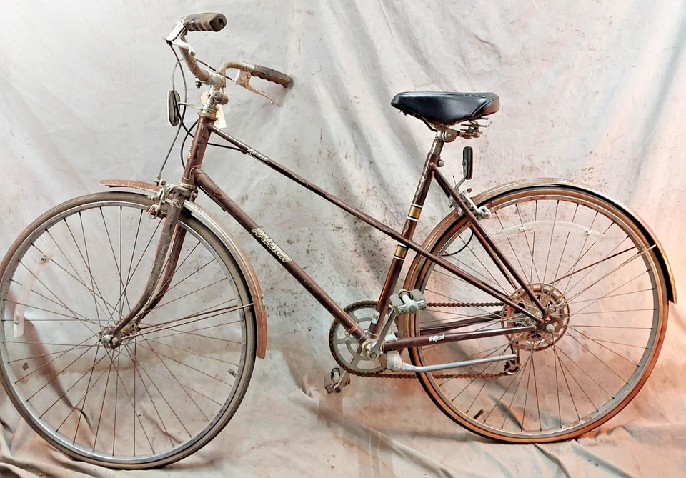 Bicicleta Crucero Raleigh Sprite 5 80' De Colección 50 cm Pequeña 5 Velocidades Acero Café Cercanías Foto 2 de 4