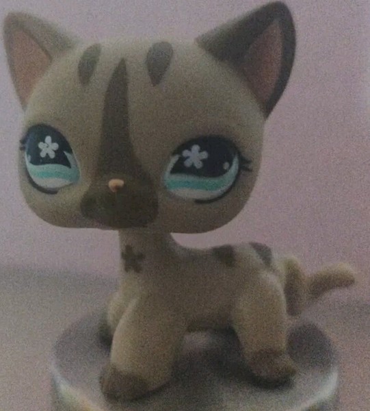 Grey Gray Siameses Shorthair,Faceflower Eyes Little Pet Shop (N°468) Original