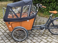 Babboe Flow Mountain 500Wh Lastenfahrrad