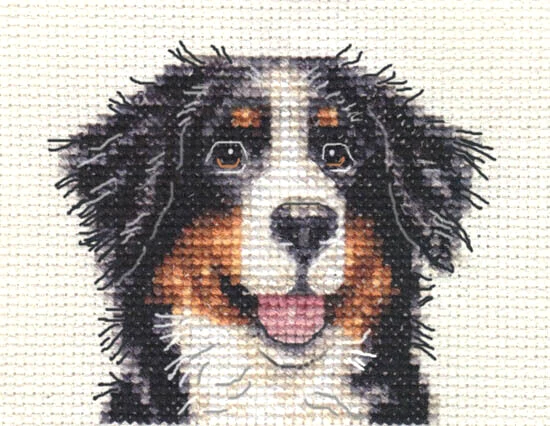 Bernese cross sales